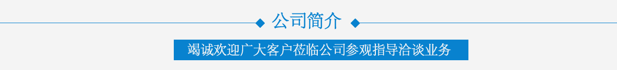 關(guān)于上海自動(dòng)化儀表有限公司